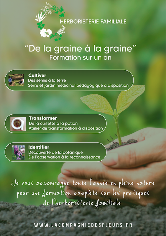 Programme La graine à la graine